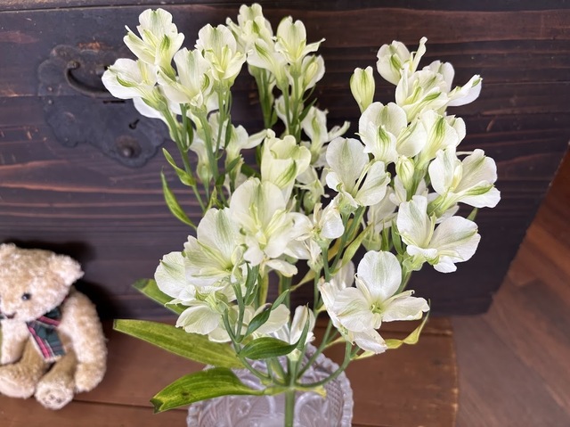 お店の花7.3.20