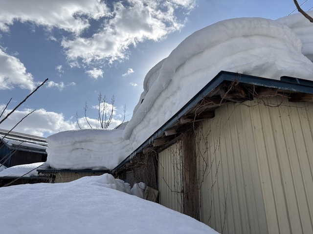 お隣の雪がヤバイ7.2.27.1