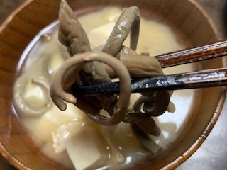 ゼンマイの味噌汁5.12.29.jpg
