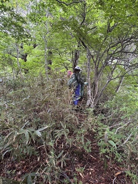 タケノコ採り7.6.28.2