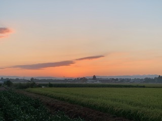 ヘイ抜き作業5.8.26.1.JPG
