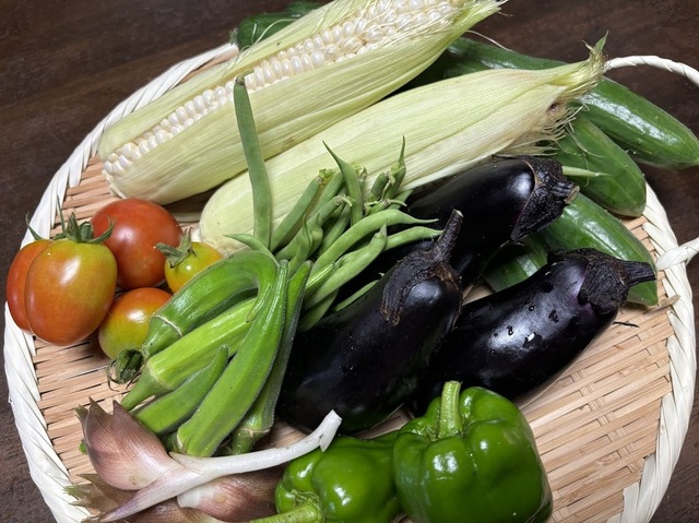 今日の収穫野菜です6.7.30
