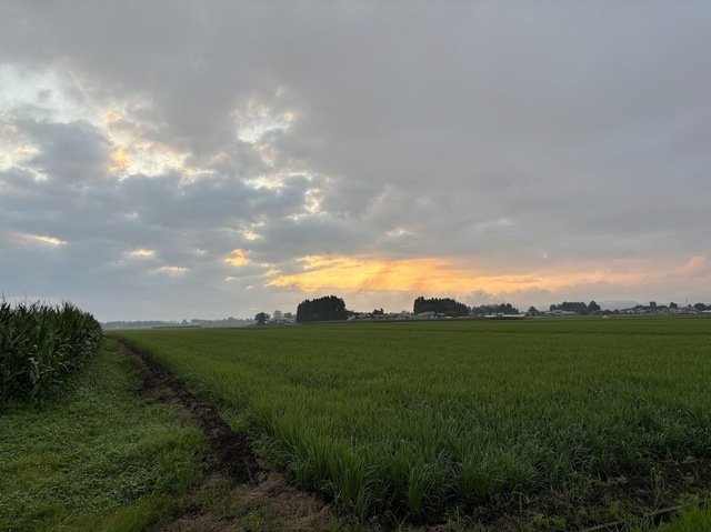 今日も日の出とともに始動6.7.31