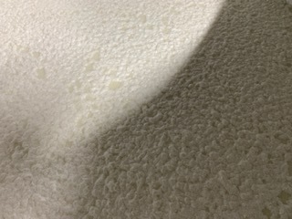 天の戸へ6.1.29.3.JPG