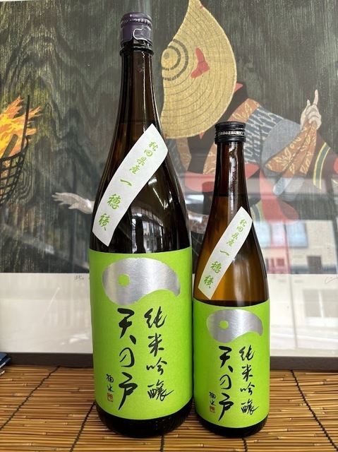 天の戸一穂積ひやおろし6.8.29