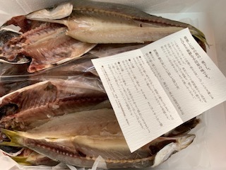小田原の干物5.8.29.1.jpg
