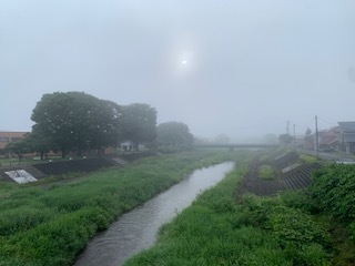 朝のランニング5.6.28.1.JPG
