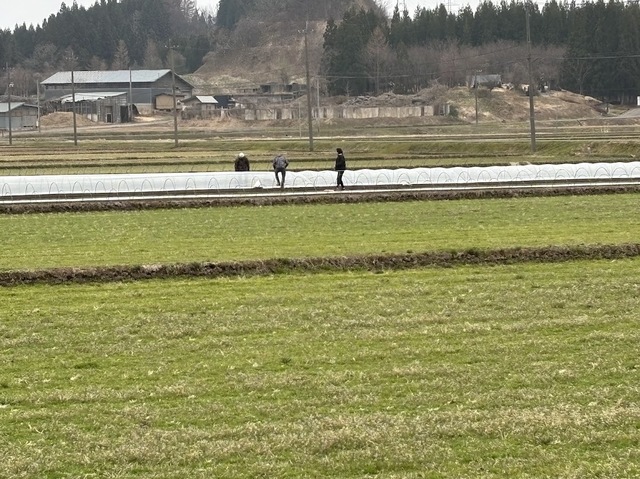 朝のランニング7.4.12.3