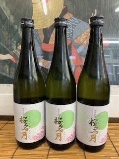 桜名月6.3.29.JPG