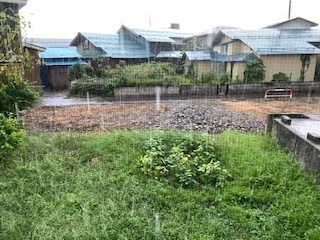 激しい雷雨5.8.30.JPG