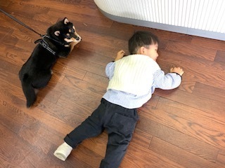 然とたいち5.10.19.2.jpg
