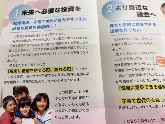 町議会補欠選挙7.3.15