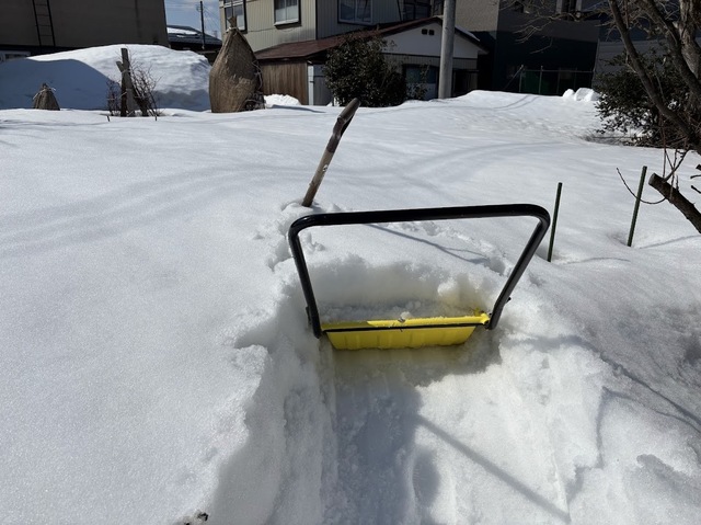 畑の雪消し7.3.10.1