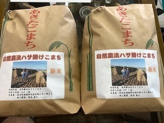 自然農法ハサ掛けこまち5.10.30.jpg