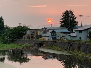 草取り作業5.6.30.1.JPG