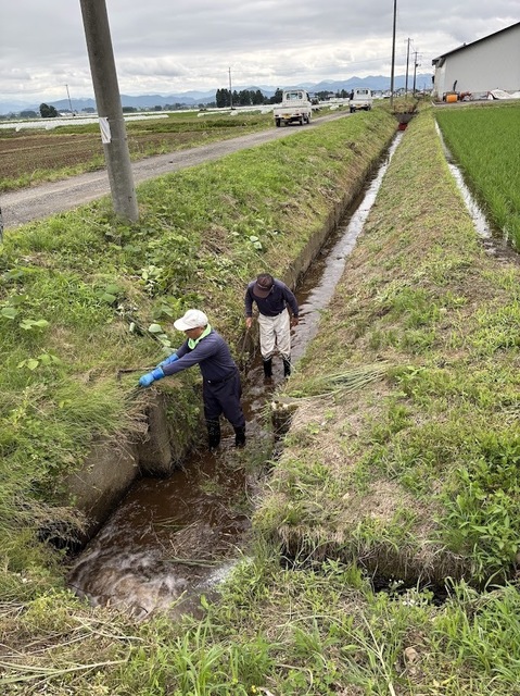 谷地中の保全活動7.6.29