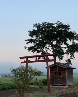 除草作業5.7.5.1.JPG