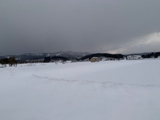 雪景色4.12.29.2.JPG