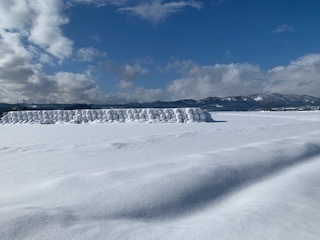 雪景色4.12.31.2.JPG