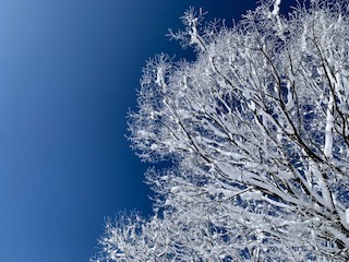 雪景色5.1.30.3.jpg