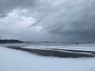 雪解けが加速6.2.15.JPG