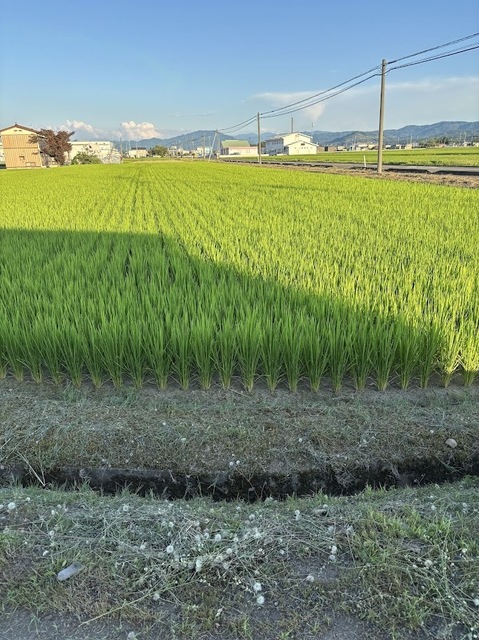 ３回目の草刈り作業４日目7.7.25.1