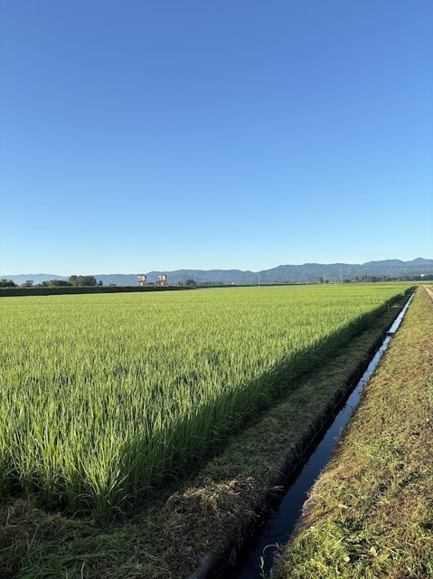３回目の草刈り作業６日目7.7.29.3
